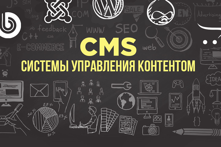 Обзор популярных CMS для интернет-магазинов: от WordPress до Tilda